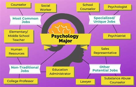 12 Jobs For Psychology Majors The University Network Psychology
