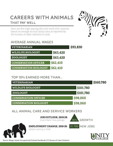 20 Cool Careers With Animals That Pay Well In 2021 Jobs With 20 Cool Careers With Animals That Pay Well In 2021 Jobs With