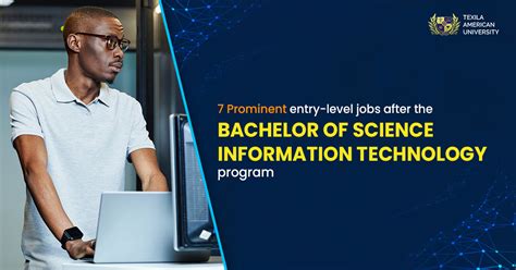 7 Prominent Entry Level Jobs After The Bachelor Of Science Information 7 Prominent Entry Level Jobs After The Bachelor Of Science Information