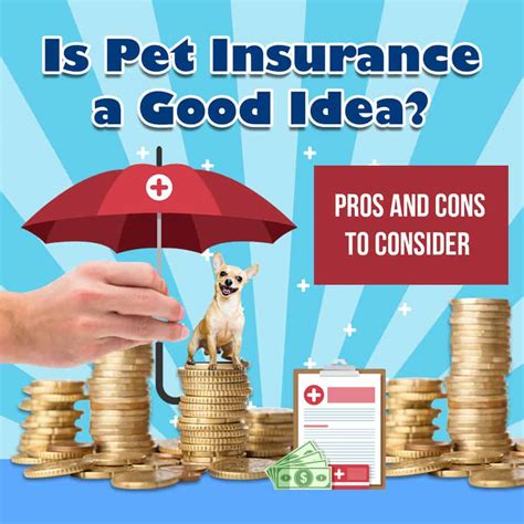 Affordable Pet Insurance Best Pet Insurance Plans And Coverage Affordable Pet Insurance Best Pet Insurance Plans And Coverage