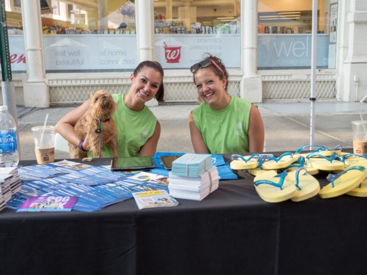Akc Careers