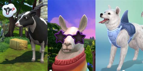 All Of The Pets In The Sims 4 Ranked All Of The Pets In The Sims 4 Ranked