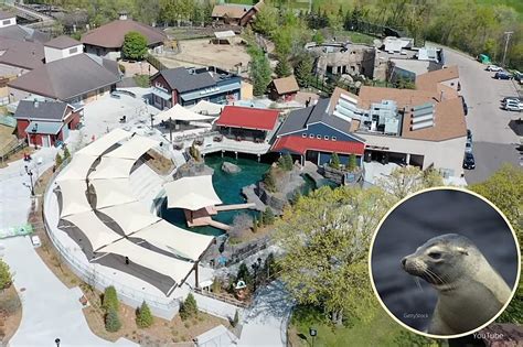 Amazing Drone Footage Of New Exhibit At Como Zoo In Minnesota Amazing Drone Footage Of New Exhibit At Como Zoo In Minnesota