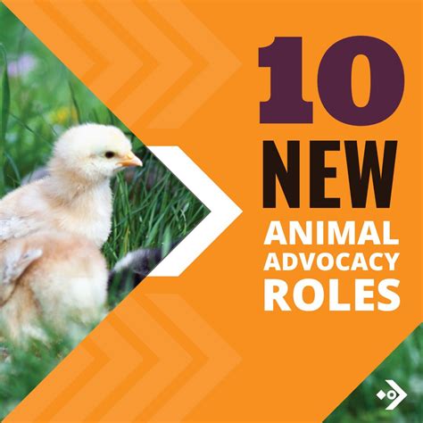 Animal Advocacy Careers On Linkedin Animaladvocacy Jobboard Jobs