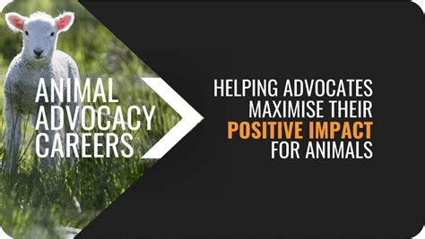 Animal Advocacy Careers