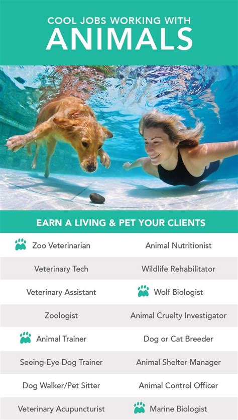 Animal Care Pets Artofit Animal Care Pets Artofit