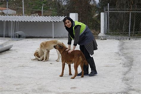 Animal Shelter Worker Job Description Duties Skills Career Path Jinn Animal Shelter Worker Job Description Duties Skills Career Path Jinn