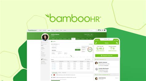 Bamboo Hr Careers Bamboo Hr Careers