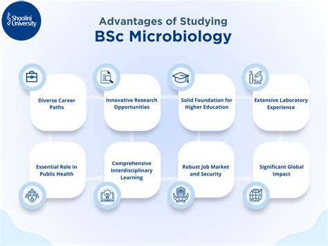 Bsc Microbiology Your Gateway To A Rewarding Research Career Bsc Microbiology Your Gateway To A Rewarding Research Career