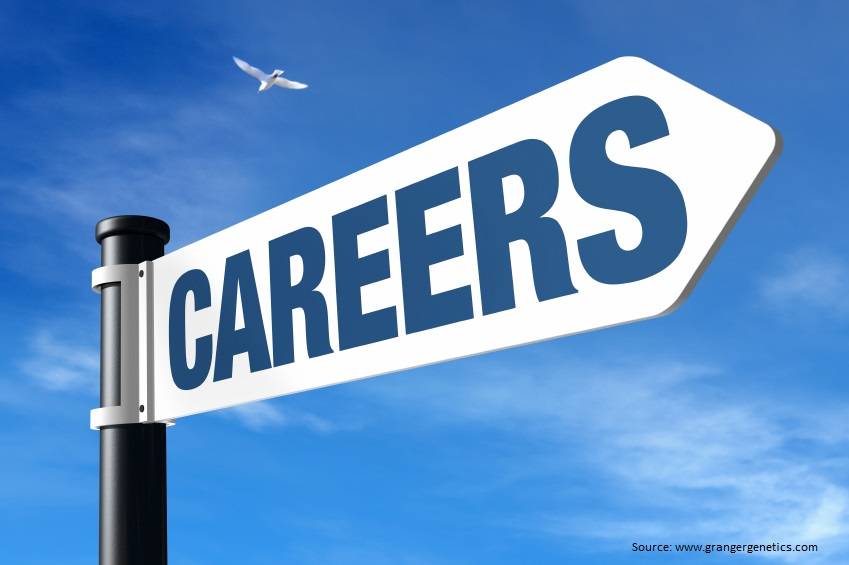 Bsu Careers