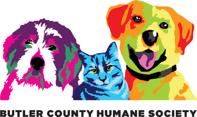 Butler County Ohio Careers