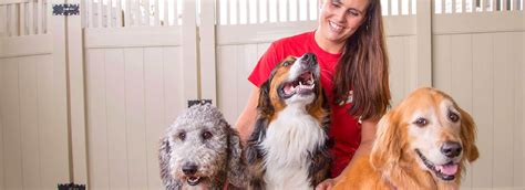 Camp Bow Wow Careers