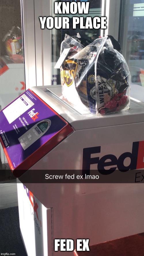 Can You Work At Fedex At 17