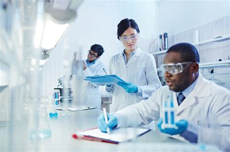 Career Details Stem Insight