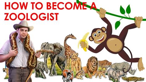 Career In Zoology How To Become A Zoologist Youtube Career In Zoology How To Become A Zoologist Youtube