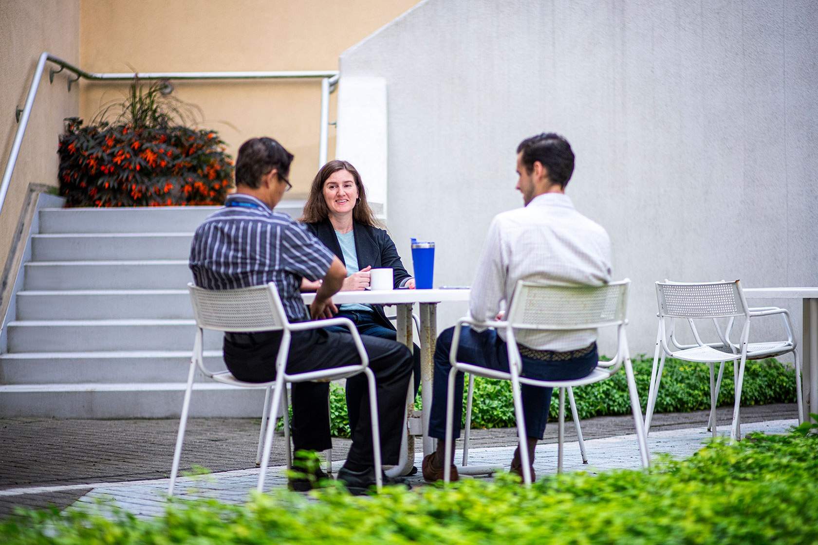 Careers Alltrails Doreen Ghafari Careers Alltrails Doreen Ghafari