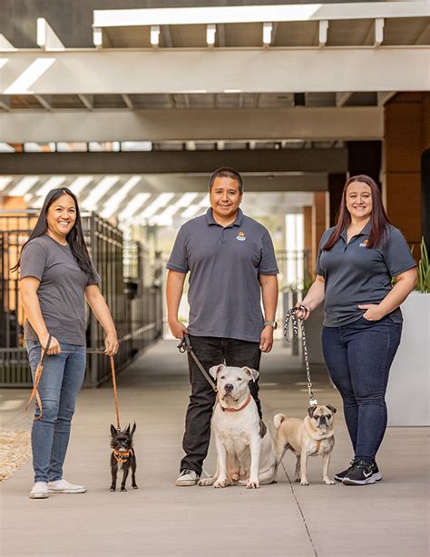 Careers Arizona Humane Society Careers Arizona Humane Society