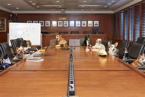 Careers At Akc American Kennel Club Careers At Akc American Kennel Club