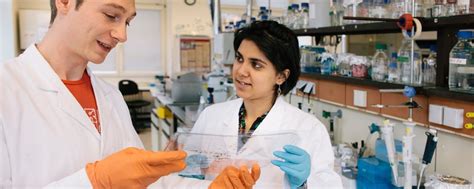 Careers At Corning