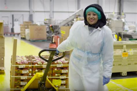 Careers At Loffredo Fresh Foods Careers At Loffredo Fresh Foods