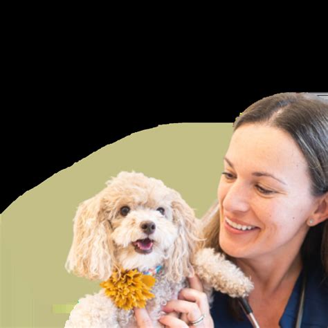 Careers At Petfolk Petfolk Careers At Petfolk Petfolk