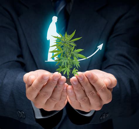 Careers Cannabis