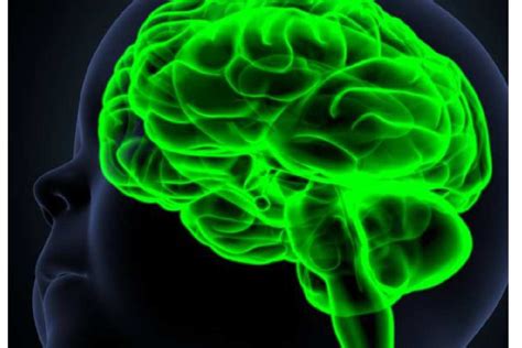 Careers Cranial Technologies Careers Cranial Technologies