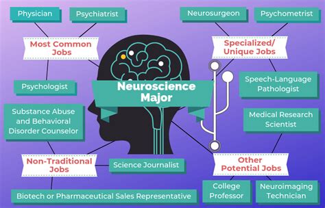 Careers For Neuroscience Majors