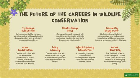 Careers In Wildlife Conservation