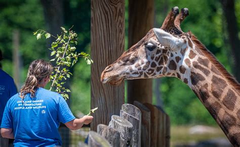 Careers In Zoology Working With Wildlife In Zoos Aquariums And Careers In Zoology Working With Wildlife In Zoos Aquariums And