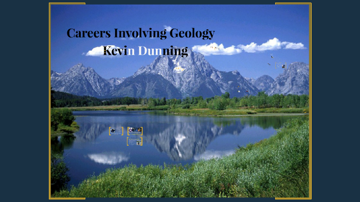 Careers Involving Cats