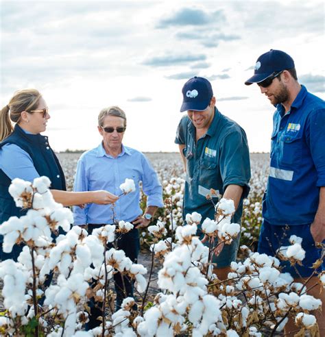 Careers Olam Agri