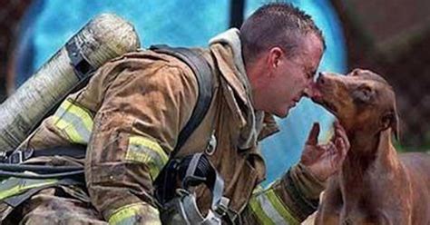 Careers Saving Animals