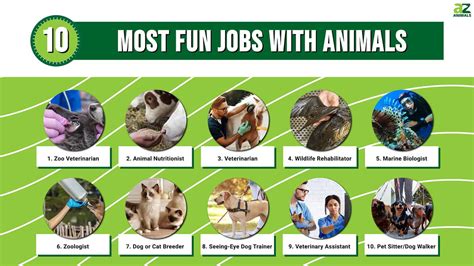 Careers That Involve Animals