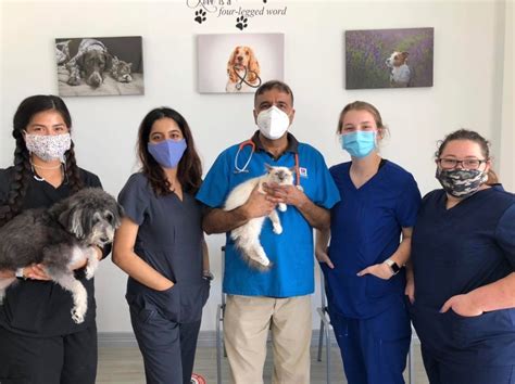 Careers Wellcare Pet Clinic Careers Wellcare Pet Clinic