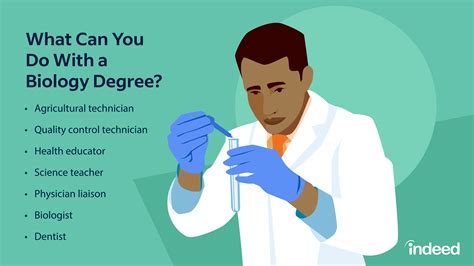 Careers With Bachelor Of Science Careers With Bachelor Of Science
