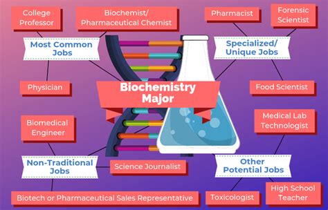Careers With Biochemistry Careers With Biochemistry