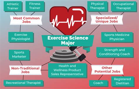 Careers With Exercise Science Degree