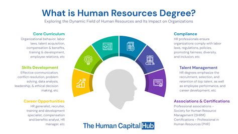 Careers With Human Resources Degree Careers With Human Resources Degree