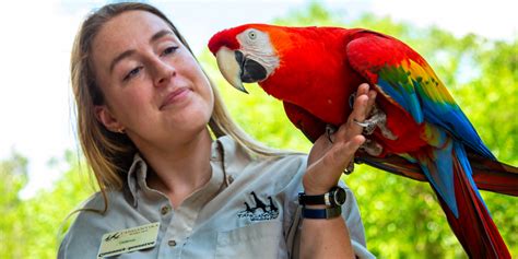 Como Zoo Careers