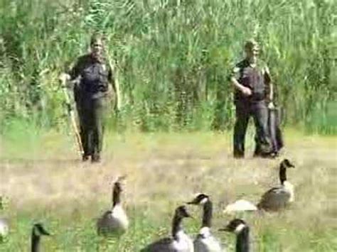 Conservation Officer Fish And Game Wardens Job Description Youtube Conservation Officer Fish And Game Wardens Job Description Youtube