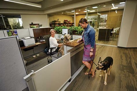 Corporate Careers Petco Careers Corporate Careers Petco Careers