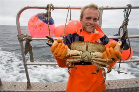 Crab Careers