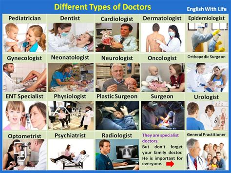 Different Types Of Doctors English Vocabulary Vocabulary Medical Different Types Of Doctors English Vocabulary Vocabulary Medical