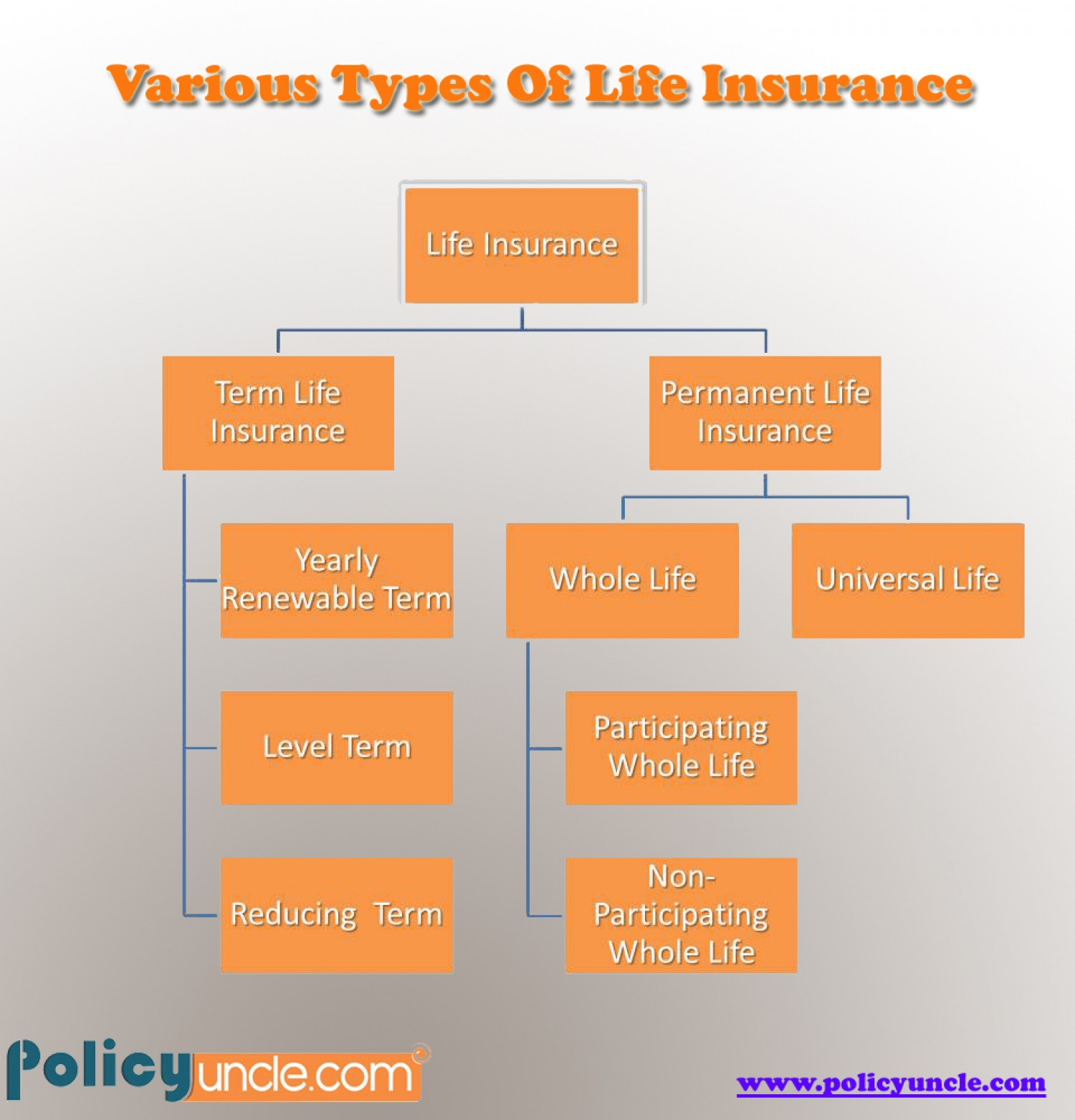 Different Types Of Life Insurance Policies