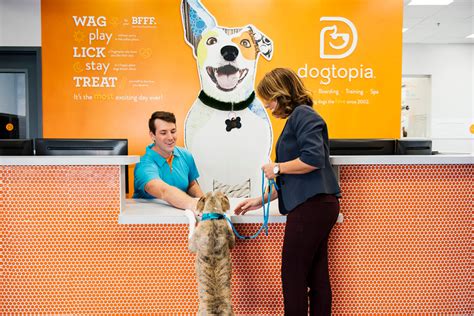 Dogtopia Careers