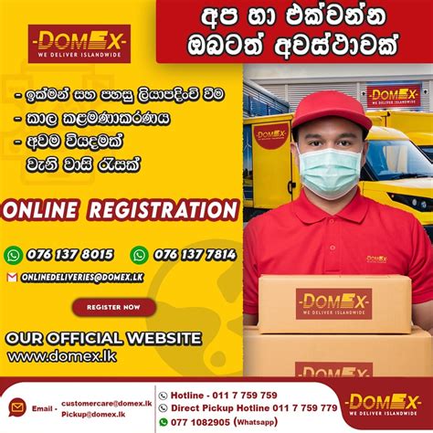 Domex Courier Service In Sri Lanka Express Delivery Service Domex Courier Service In Sri Lanka Express Delivery Service