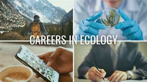 Ecosystems Careers