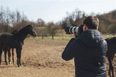 Equestrian Careers
