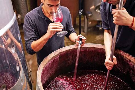 Explore Wine Industry Jobs In The Usa For All Levels Explore Wine Industry Jobs In The Usa For All Levels